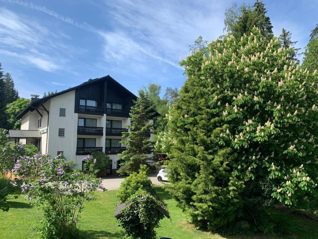 Landhaus Am Forst Bad Alexandersbad Ngoại thất bức ảnh