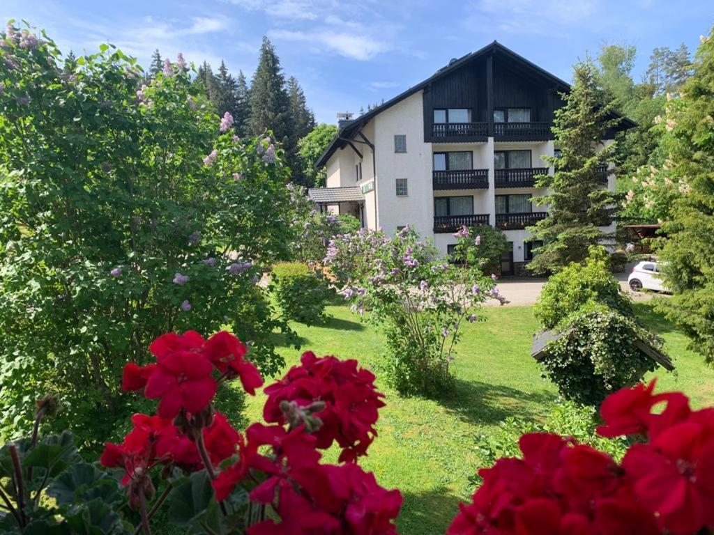 Landhaus Am Forst Bad Alexandersbad Ngoại thất bức ảnh